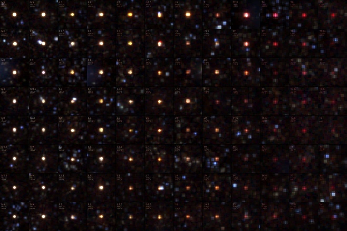 SPHEREx Just Took the Fingerprints of Failed Stars Across Our Cosmic Neighborhood